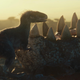 One of the first looks at Jurassic World: Dominion shows us what appears to be a furry baby dinosaur.